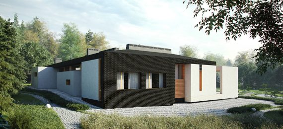 ARCHITECTURE IS THE ART OF HOW TO WASTE SPACE.